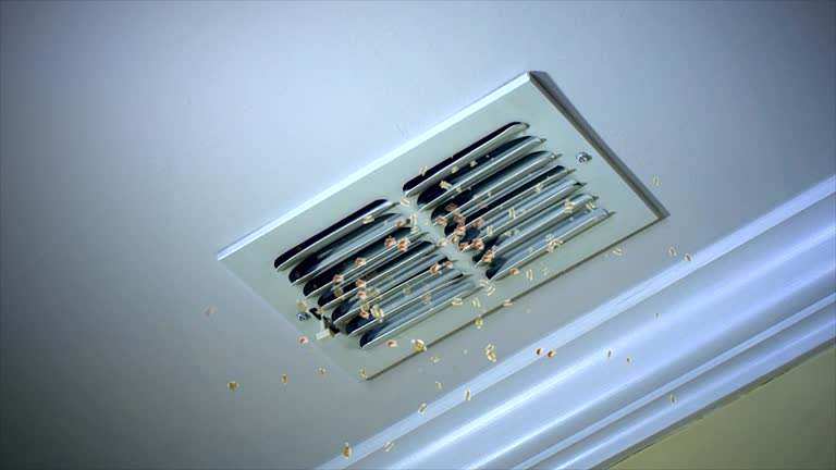 Best Best Air Duct Cleaning Company  in Culpeper, VA
